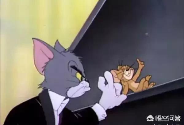 猫和老鼠动画片猫弹钢琴:《猫和老鼠》如果出了电影，你会去看嘛？
