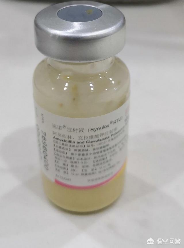 犬冠状病毒病症状图片:新型冠状病毒的症状 狗狗得了冠状病毒，有什么好的治疗方法？