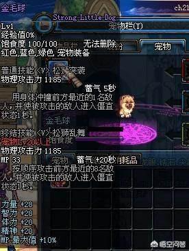 dnf宠物购买优惠:DNF有哪些花金币能买到的宠物？
