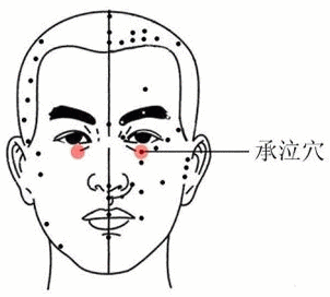 花叶美人蕉叶百度百科:美人蕉叶子清晰图片 红花紫色美人蕉的药用价值？
