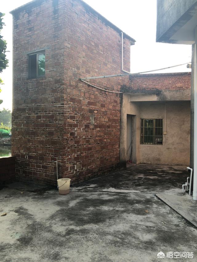 将来必定升值的东西,未来什么东西只会升值不会贬值？