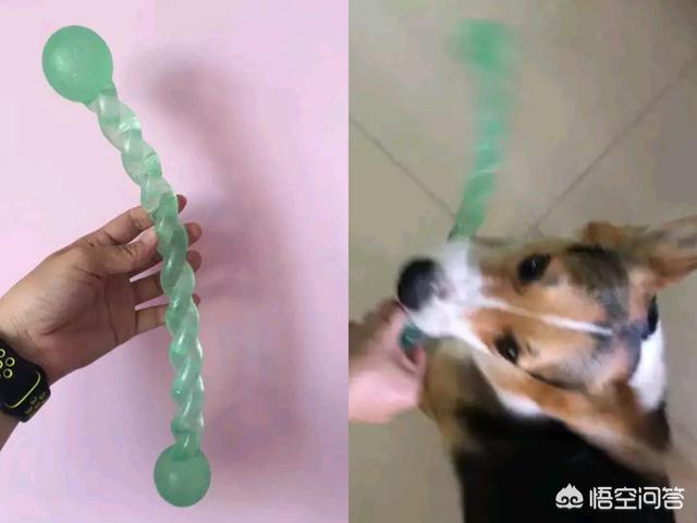 ro 宠物玩具:有没有哪些让柯基欲罢不能的玩具？