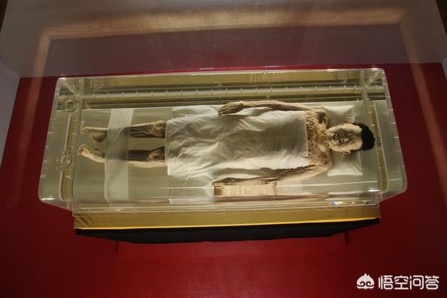 刘胜古墓发掘纪录片，考古结束后，古墓里皇帝、大臣、百姓的尸骨是怎样处理的