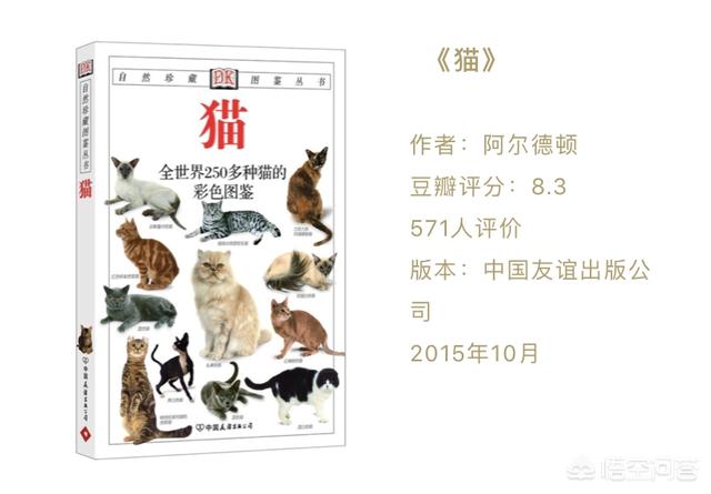 猫奴契约书图片:关于猫的杂志或者书，有推荐的吗？