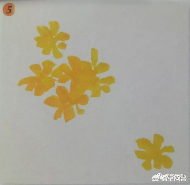 一串红国画画法:【国画教程】迎春花的画法？