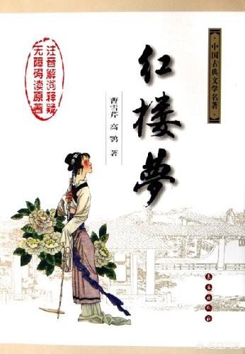 壬戌清明作:清代文学有哪些代表作品？