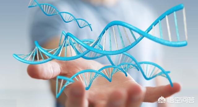 女人48岁了，绝经了，要不要去医院检查开药？