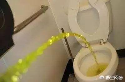 花清丹滋养型有排泄物:肝不好，会有“2处发臭”，“3处变色”，具体指哪里？