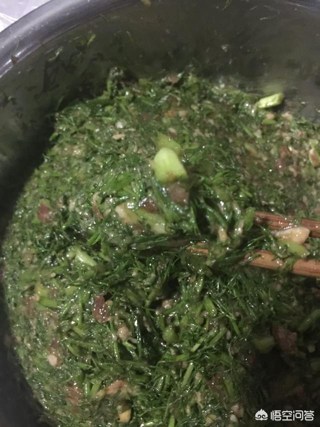 茴香苗的功效与作用(茴香苗的功效与作用禁忌)