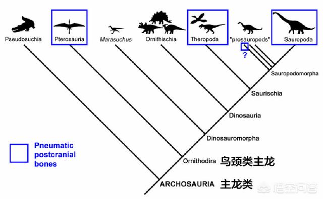 普鲁斯鳄穿越到恐龙时代的结果:科学家说恐龙的祖先，是一种水蜥蜴进化而来的，是真的吗？