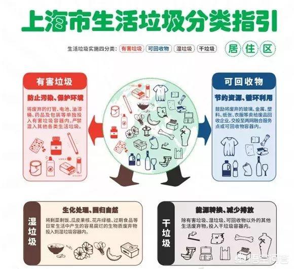 上海垃圾分类政策(上海垃圾分类能降低污染吗)