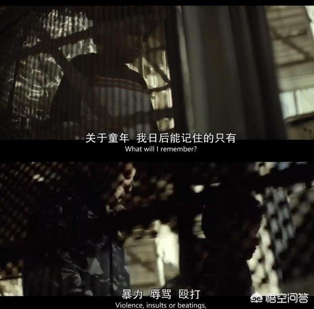 导盲犬珍妮在哭泣:《何以为家》可能会成为像《阿甘正传》一样的经典著作吗？