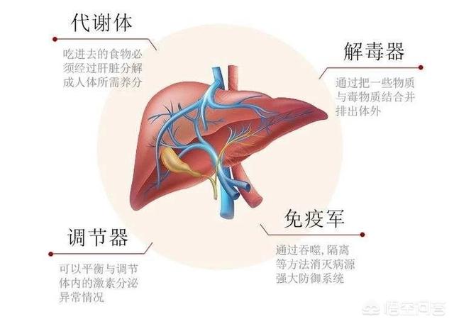 头条问答 提醒 身体一个地方 越脏 寿命越短 三个信号一出现 需警惕 具体指什么 11个回答