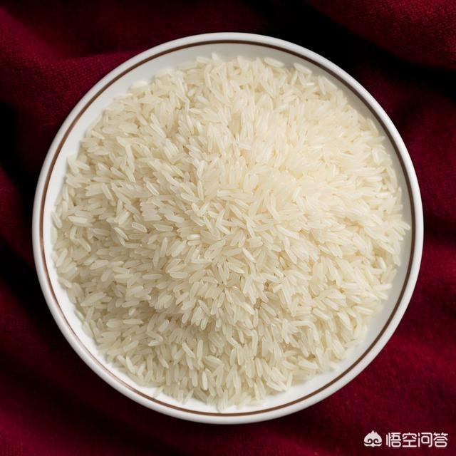 杜兵狗吃米饭吗:杜宾犬不怎么吃东西，怎么让杜宾犬吃东西？
