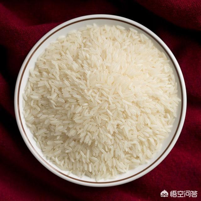 汪哇哇宠物碗:狗狗能吃米饭吗？天天吃米饭好吗？炒饭狗狗可以吃吗？