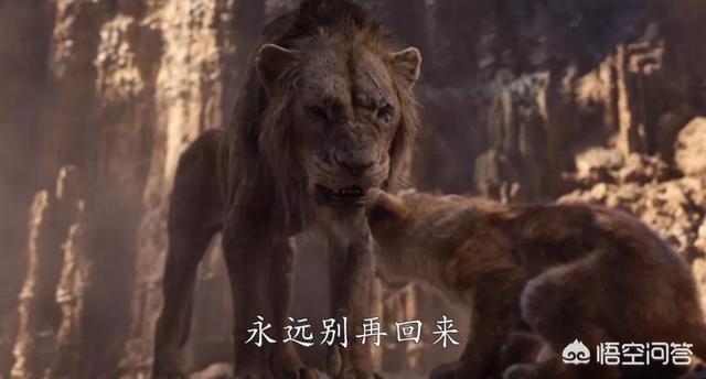 大象墓地:真的有那种大象死后都去的象冢吗