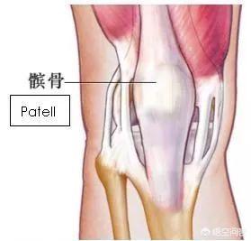 复发性髌骨脱位 概念:髌骨脱位的治疗方法是什么？