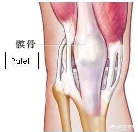 复发性髌骨脱位 概念:膝关节脱位是一种怎样的体验？该如何诊治？