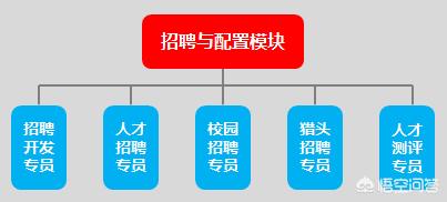 人力资源部门一般都设哪些岗位