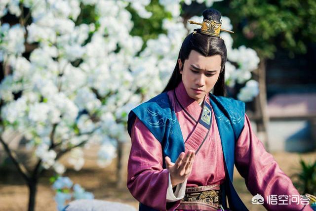 宇文邕杨坚:宇文邕是个合格的皇帝吗？