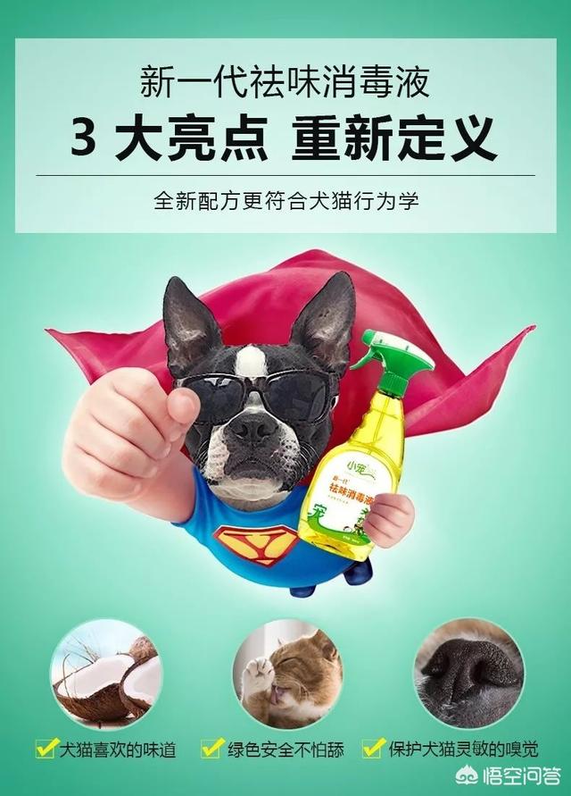 宠物除味剂哪种好:猫咪便便太臭了怎么办？有没有好点的除臭剂？ 宠物除味剂什么牌子好