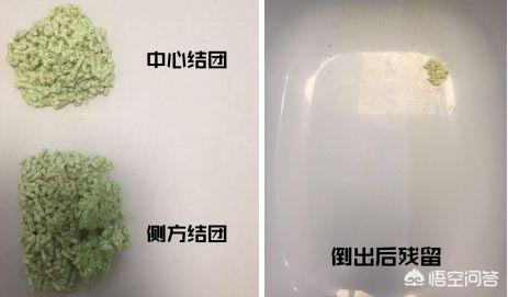 亲宝舒猫砂好用吗:猫咪乱吃东西拉稀了，要去医院吗？ 亲宝舒猫砂盆好用吗