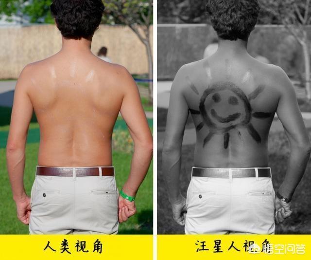 改变世界的犬类 mkv:狗狗的眼睛里看到的世界是什么样的？