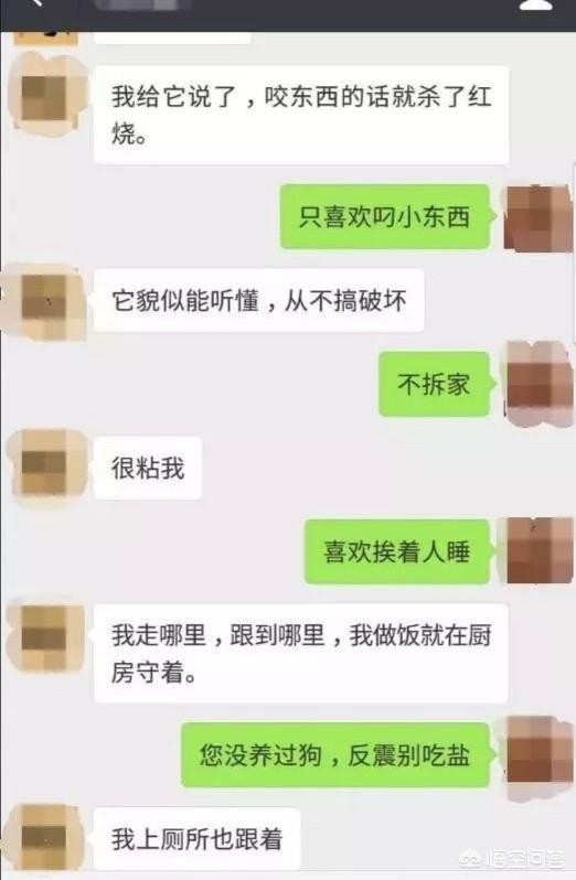 何兴丽摔狗案件:柯基犬被摔事件：当事双方均被行拘7天，你怎么看？