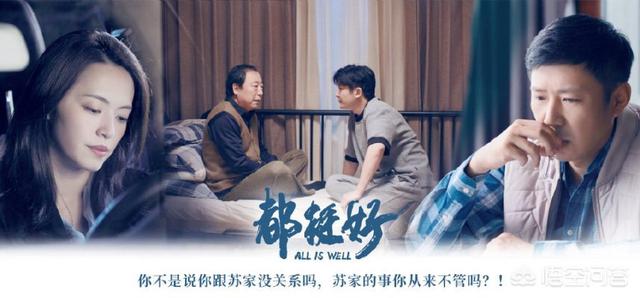 苏明成金句:看了最新的《都挺好》，你支持朱丽跟苏明成离婚吗