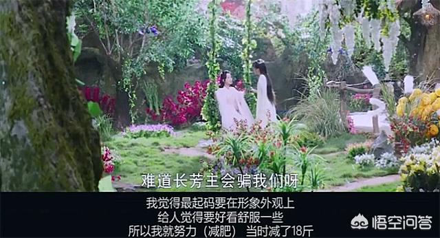 杨紫上节目又懒又敷衍:杨紫是怎么努力成为明星的？