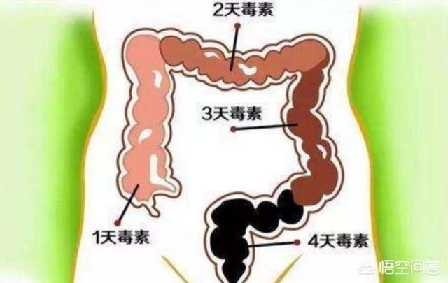 排便的最佳时间是什么时候-育儿网