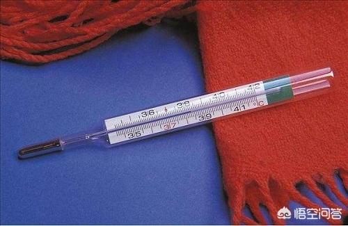 布偶猫吧的人有病:养一对布偶猫每月大约要花多少钱？ 布偶猫有病吗