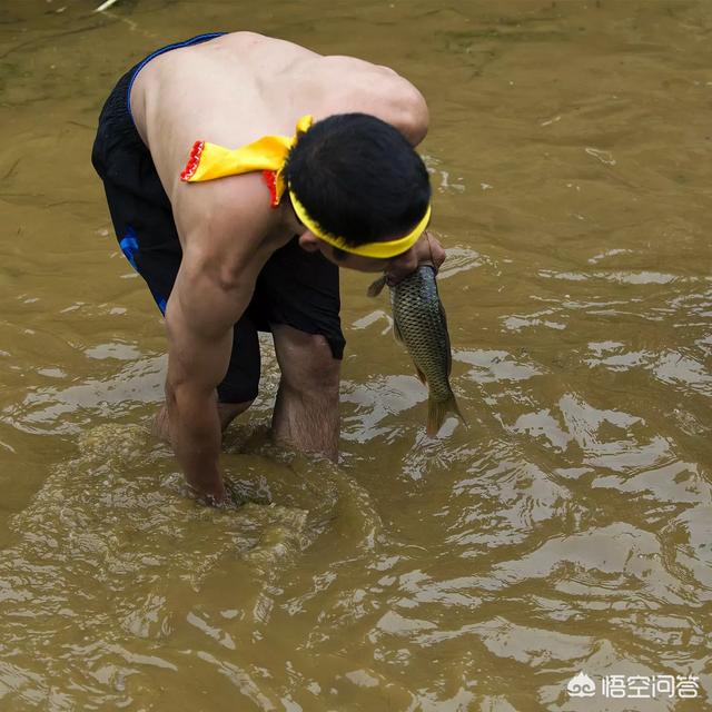 渔猫 抓鱼:在农村鱼塘的大鱼被全部清理之后，我去摸里面的小鱼算不算偷呢？