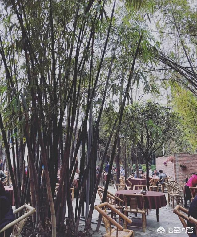 中国最适合居住的是哪五个城市？