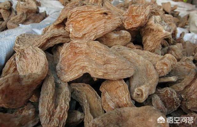 农村好多药材都能赚钱,有没有种植天麻的呢？