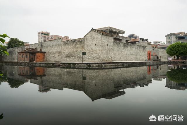 东莞 禾雀花:五一假期，没钱可以去东莞哪里玩？
