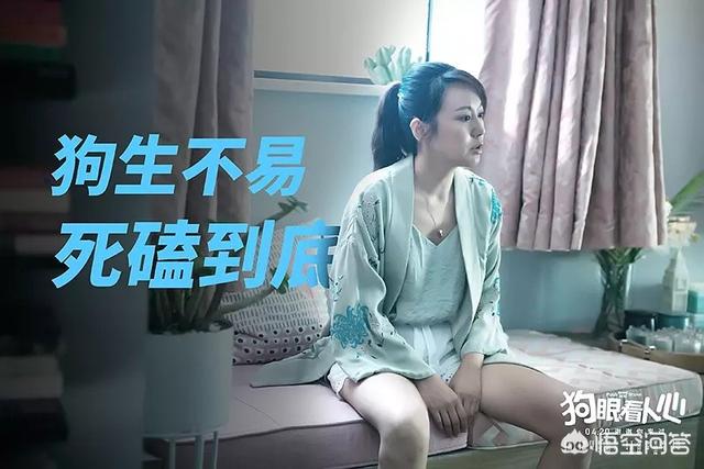 人狗情缘演员介绍:《狗眼看人心》即将催泪上线，能否扛起国产“狗片”大旗？