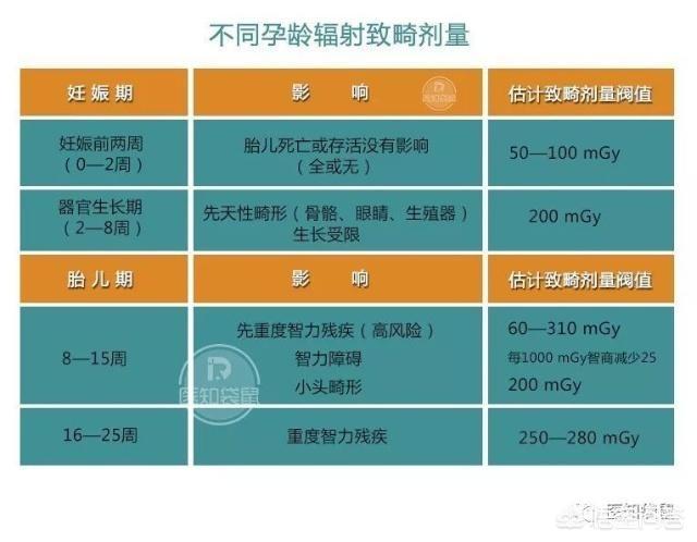 宠物美发沙龙iphone版:致畸敏感期，孕妈如何保护好胎儿？