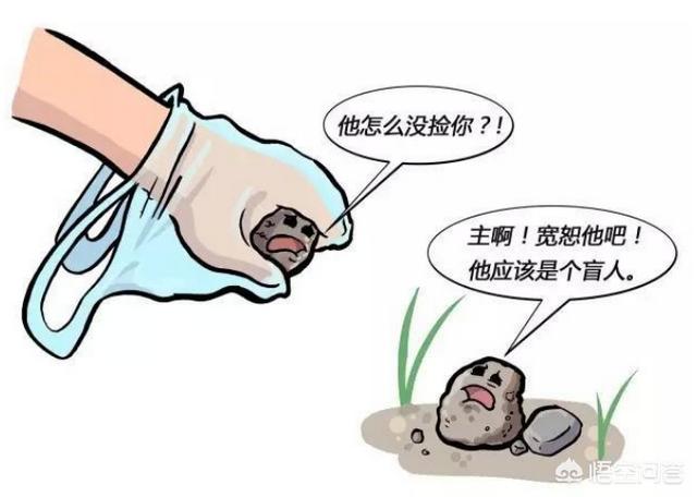 如何分辨真假柯基幼犬:柯基便便什么颜色才是正常的？其它颜色代表什么？