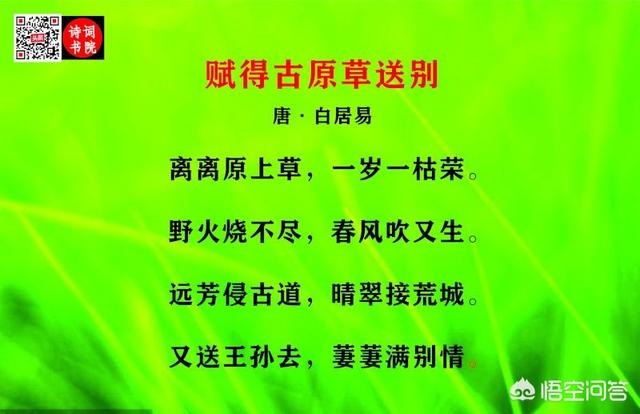 头条问答 野火烧不尽 春风吹又生 是什么意思 出自哪首诗 9个回答