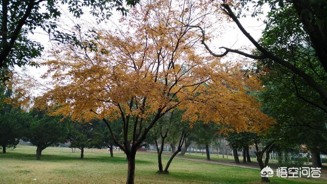 日柱看婚姻准吗,日子久了真的可以生情吗？