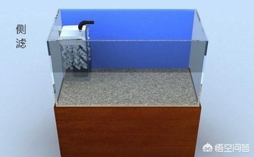家用大鱼缸养鱼知识:什么样的过滤好（家用一体鱼缸）？ 家庭鱼缸养鱼知识大全