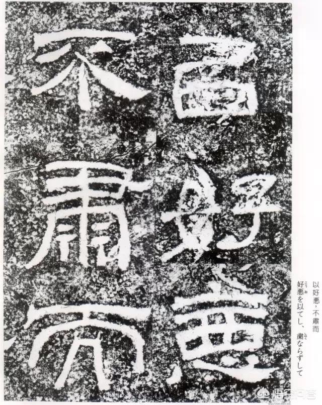 汉字的发展演变过程体会中华文化的传承（我们能为汉字的传承和发展做些什么）