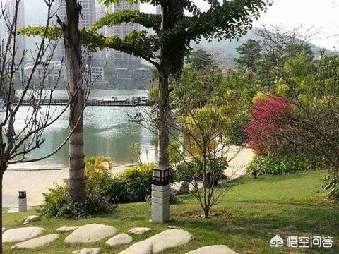巨蛇偷蛋:大蟒蛇在厦门一居民家中偷鸡吃，吓一跳又吐了, 你怎么看？