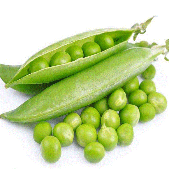 头条问答 - 东北适合种豌豆吗?(14个回答)