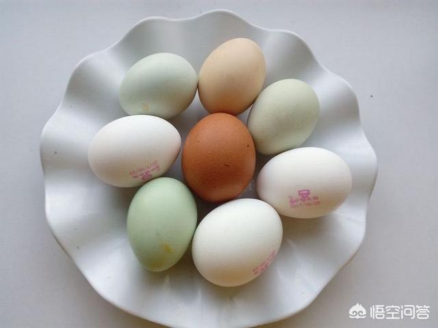 鹅蛋和什么不能一起吃鸡蛋鸭蛋鹅蛋属于荤菜还是素菜