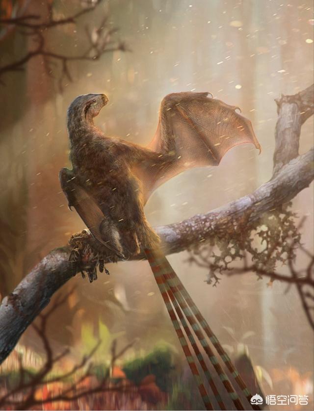 中国发现活恐龙，科学家发现的具有“蝙蝠翅膀”的恐龙是怎样的