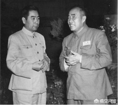 属蛇的名人:传统民俗文化十二生肖中巳蛇拥有哪些属性，巳蛇秉性特征是什么？