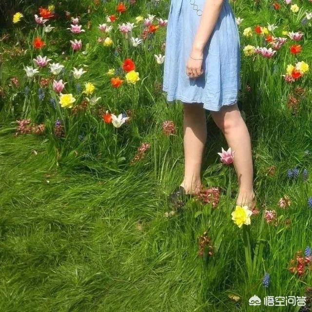今天是母亲节,想想这么多年你们送给妈妈最好的礼物是什么？