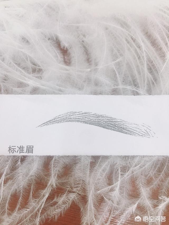 怎样学会眉毛的入门画法呢？插图43